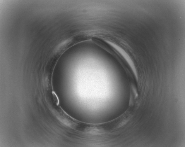 X0000082160597200701262336