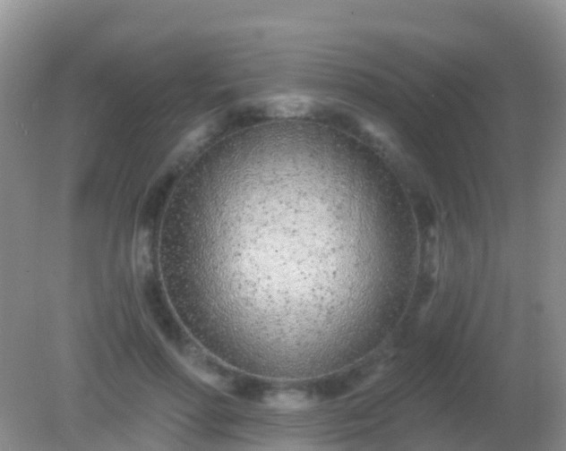 X0000082160598200701262336
