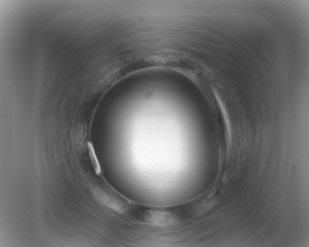 X0000082160605200701262336