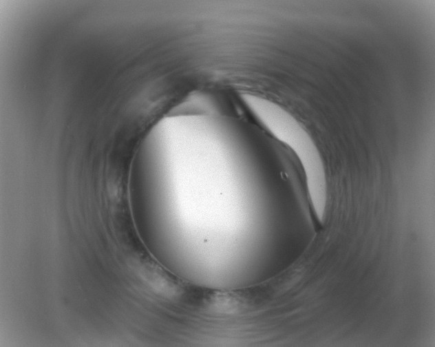 X0000082160608200701262336