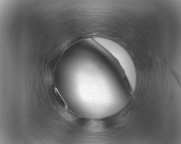 X0000082160617200701262336