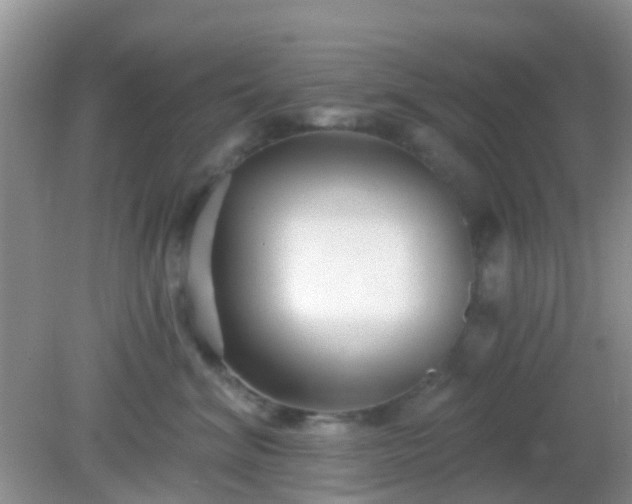 X0000082160620200701262336