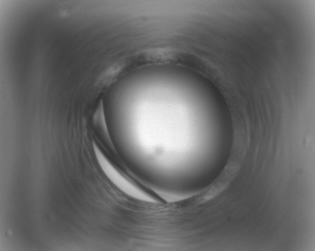 X0000082160624200701262336