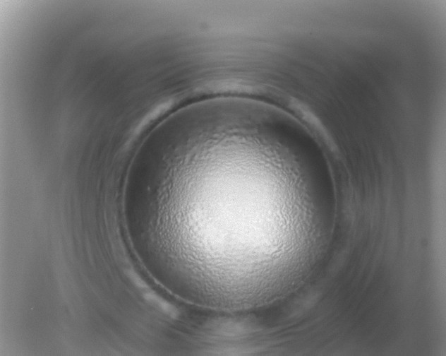 X0000082160625200701262335