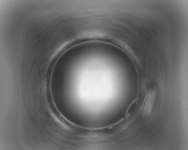 X0000082160629200701262335