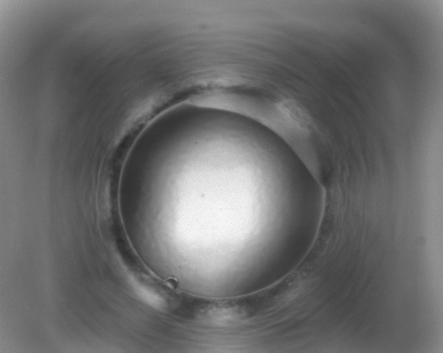 X0000082160638200701262335