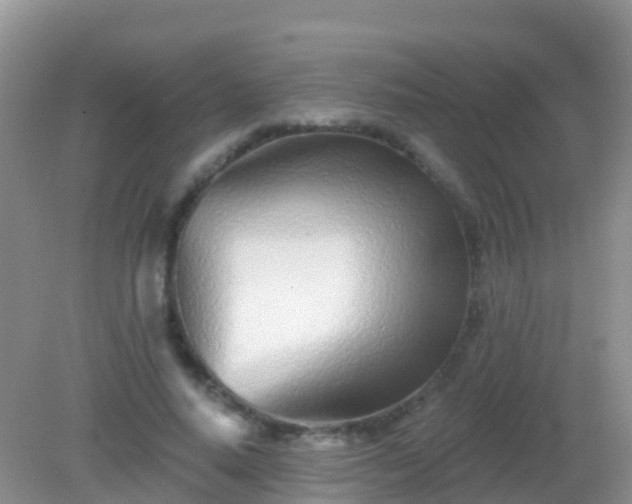 X0000082160640200701262335