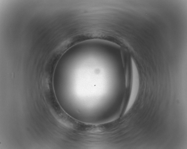 X0000082160643200701262335