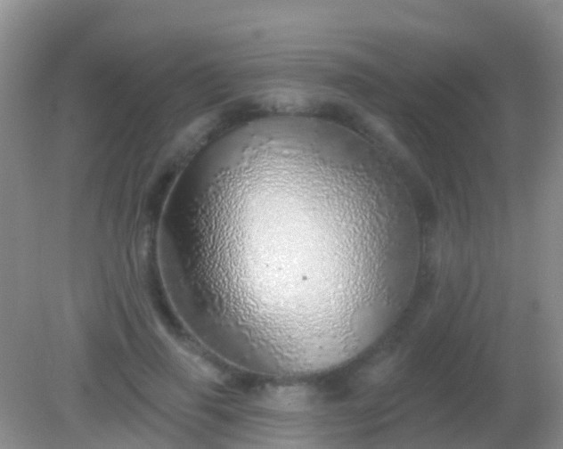 X0000082160645200701262335