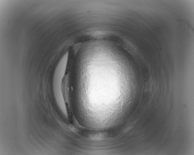 X0000082160646200701262335