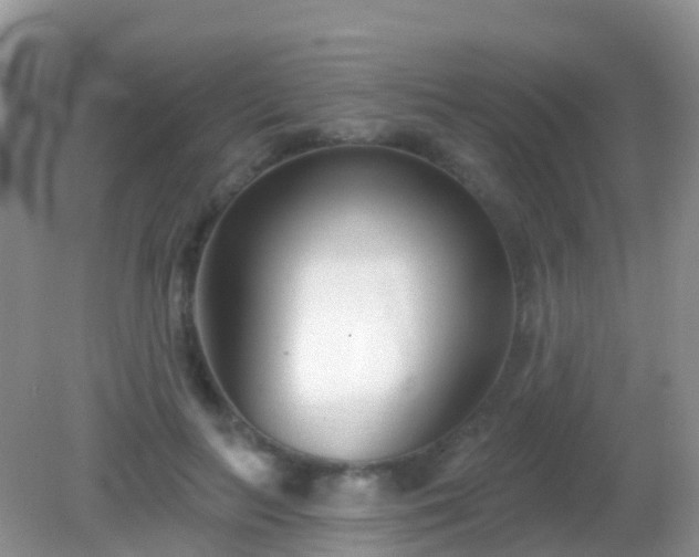 X0000082160647200701262335
