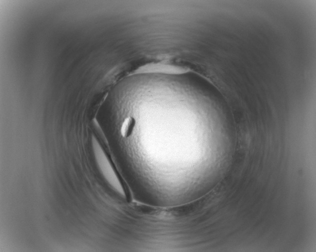 X0000082160656200701262335