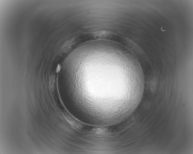 X0000082160660200701262335