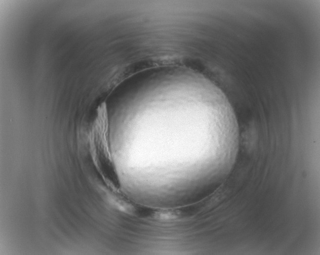 X0000082160662200701262335