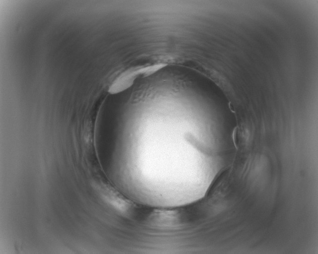 X0000082160665200701262335