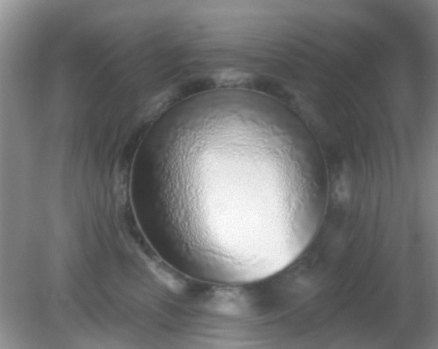 X0000082160666200701262335