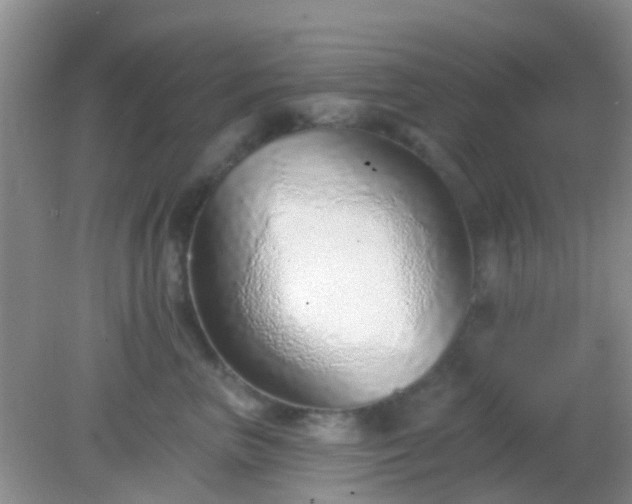 X0000082160667200701262336