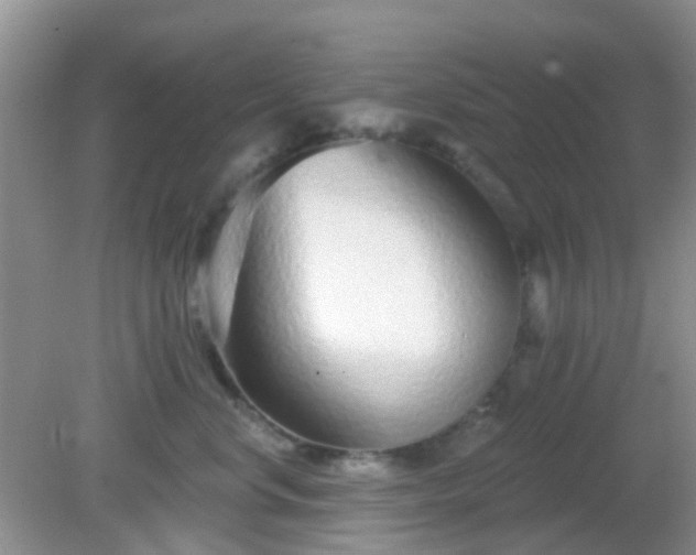 X0000082160668200701262336