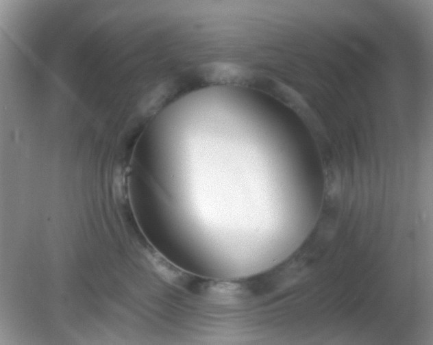 X0000082160669200701262336