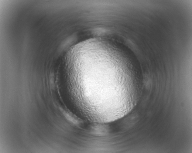 X0000082160670200701262336