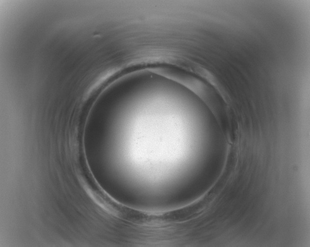 X0000082160677200701262335