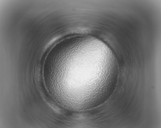 X0000082160679200701262335