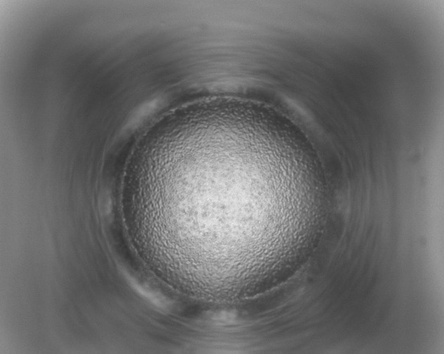 X0000082160687200701262335
