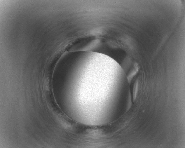 X0000082160689200701262335