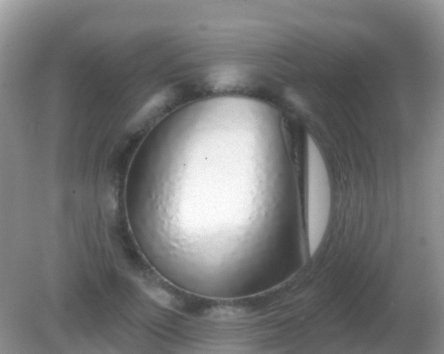 X0000082160691200701262334