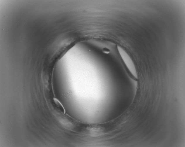 X0000082160693200701262334
