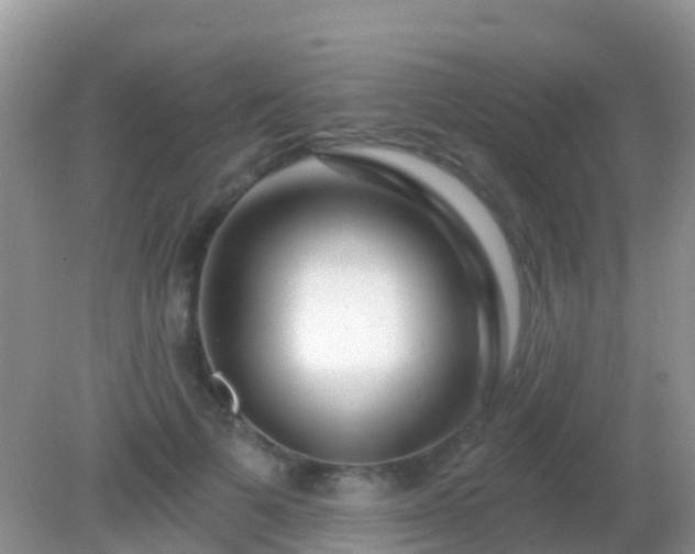 X0000082160697200701262334