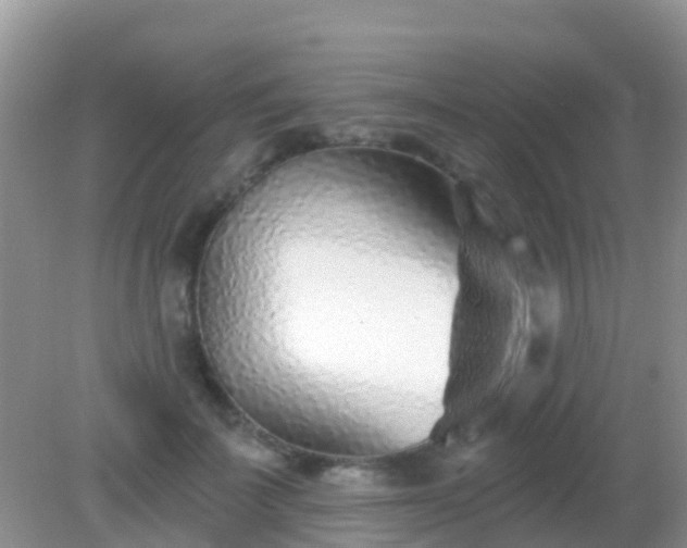 X0000082160699200701262334