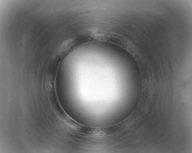 X0000082160702200701262334