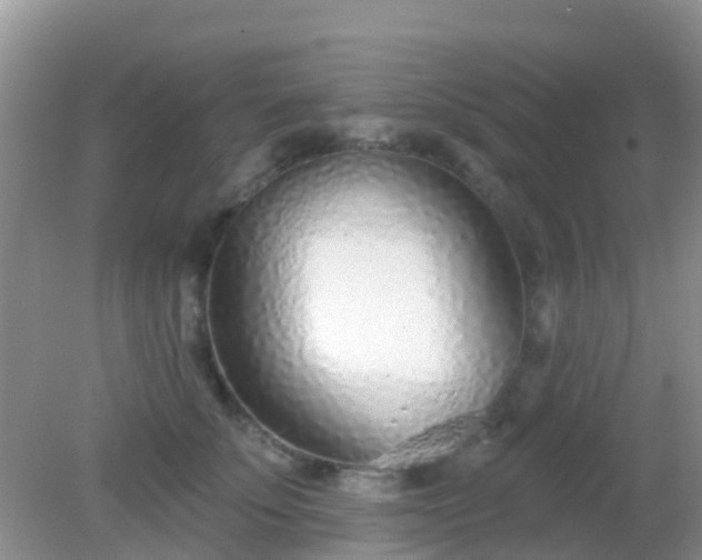 X0000082160707200701262334