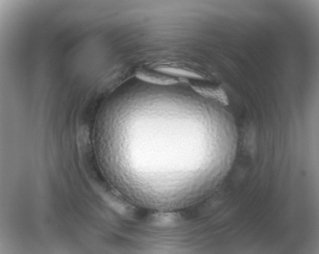 X0000082160711200701262334