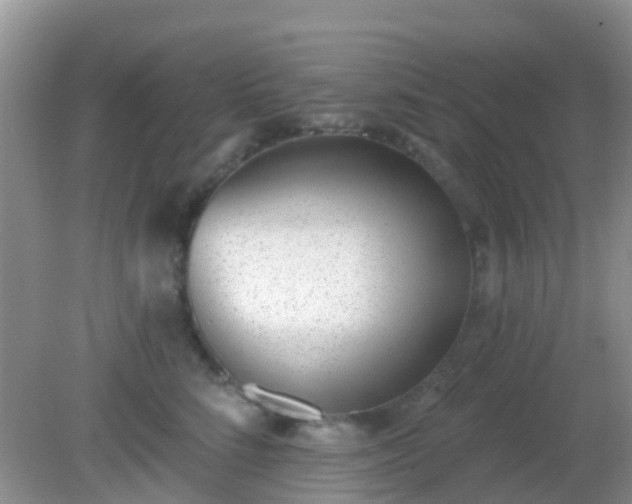 X0000082160712200701262334