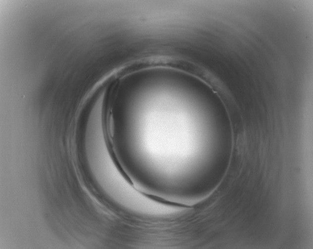 X0000082160722200701262333