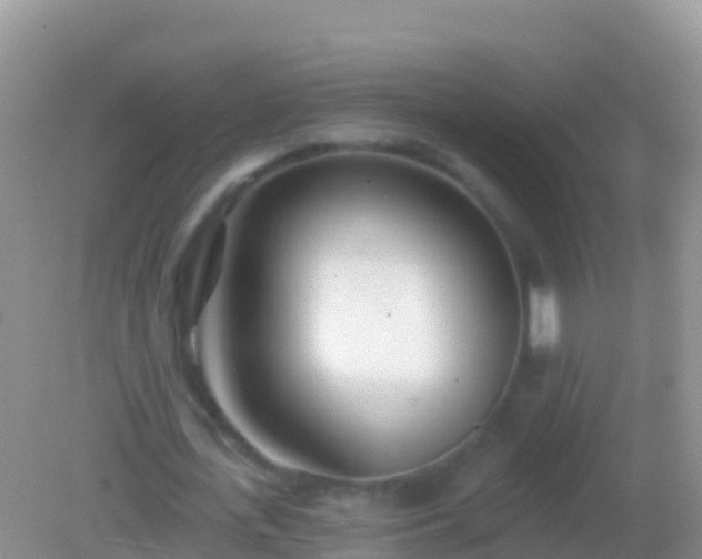 X0000082160723200701262333