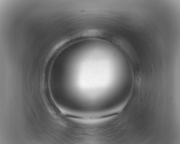 X0000082160724200701262333