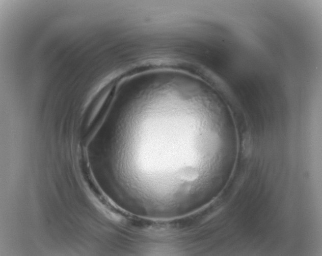 X0000082160725200701262333