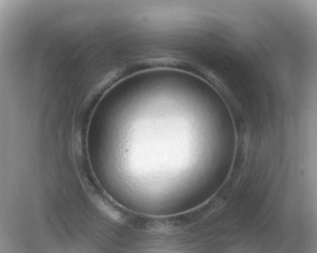 X0000082160729200701262333