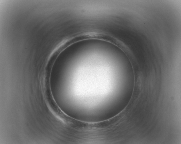 X0000082160730200701262333