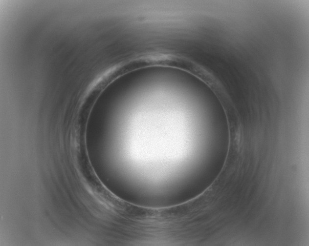 X0000082160732200701262333