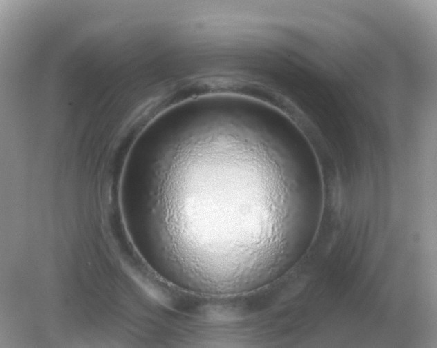 X0000082160733200701262333
