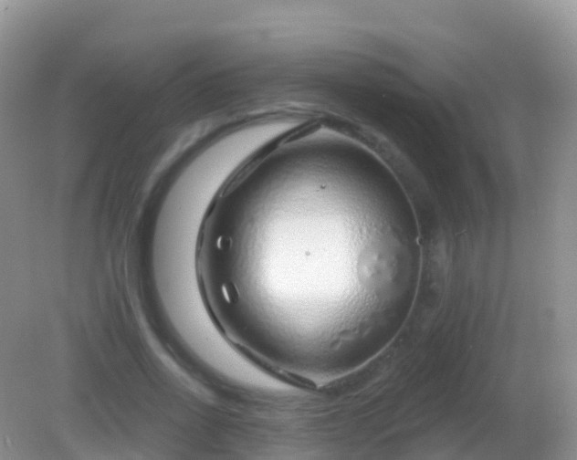 X0000082160734200701262333