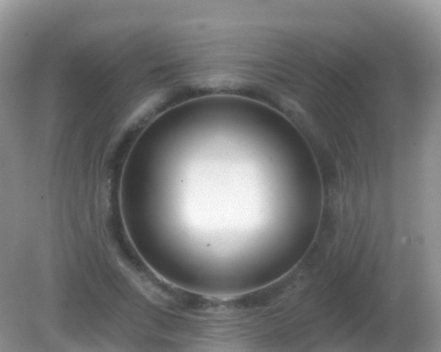 X0000082160735200701262333