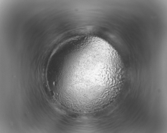 X0000082160737200701262333