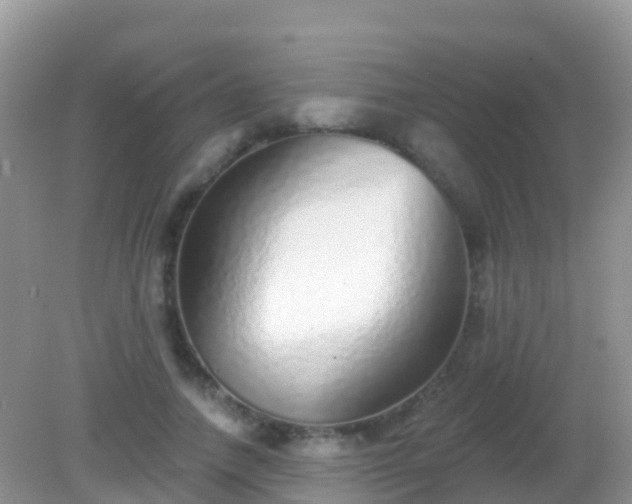X0000082160738200701262333