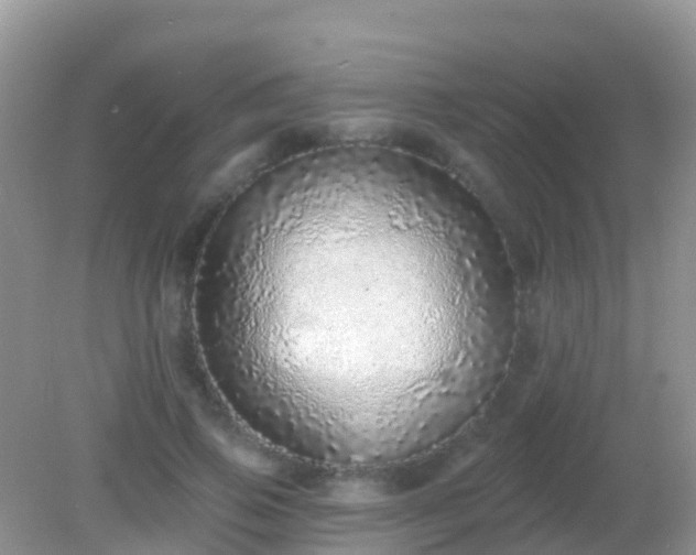 X0000082160741200701262334
