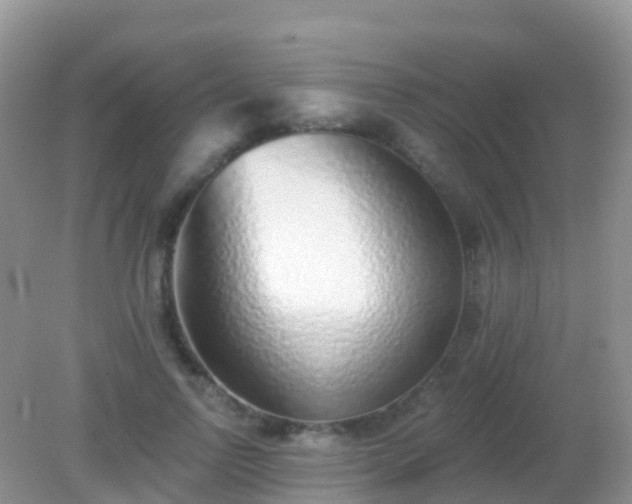 X0000082160742200701262334